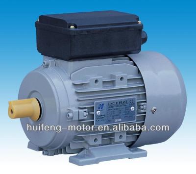 China IP54 Single Phase Permanent Split Capacitor Mono Motor With CE With Rohs for sale