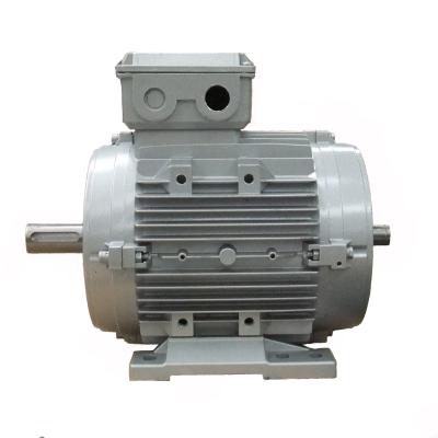 China Totally Enclosed Double Shaft 230/380V B3 Three Phase AC Electric Motor for sale