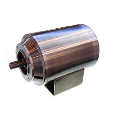 China 0.75kW Premium S.S 304 Efficiency B14 TENV IP67 Stainless Steel Totally Enclosed Motor for sale