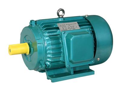 China Cast Iron Housing Three Phase Asynchronous Motor For General Driving 1HP 0.75KW for sale