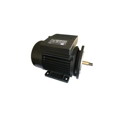 China Aluminium-2800rpm 0.75kw 1hp asynchroner Wechselstrommotor zu verkaufen