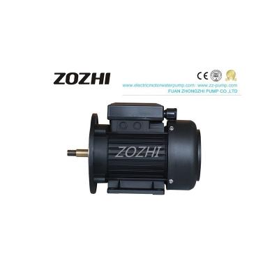 China Pool-Pumpen-Motor 2 Pole ZOZHI 0.75HP 0.55KW MYT711-2 zu verkaufen