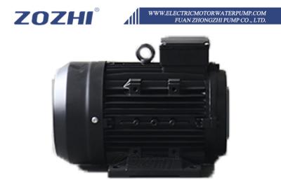 China Three Phase Induction Hollow Shaft AC Motor for Manufacturing Processing Machinery for sale