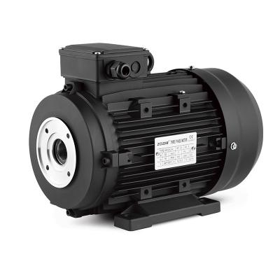 China 2hp 1hp Three Phase 3 Phase Induction Motor for 220V AC Washing Machine Low Noise Level for sale