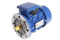 China Electric 3 Phase Induction Motor With NSK bearing and B5 Foot Mountiing for sale