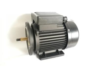 China de 0.75HP In werking gestelde Motoren van de Enige Faseinductie voor Zwembadpomp Te koop