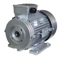 China motor de inducción asincrónico del eje de 24m m AR Interpump para las lavadoras de la presión en venta