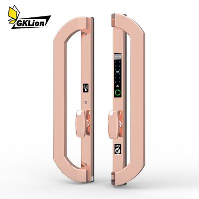 China Smart Lock SUS304 Zigbee Fingerprint Door Lock With Semiconductor Detector for sale