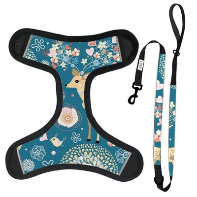 China 2021 Customized Popular Soft Padded Dog Harness Set Pet Harness Chest Back With Leash for sale