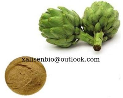 China Cynara Scolymus Extract 5% Artichoke Acid Cynarin Artichoke Extract Powder for sale