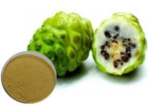 China 100% Natural Noni fruit powder for sale