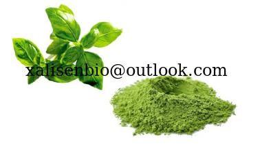 China Factory Supply Pure Green Tea Matcha Powder/Bulk Matcha Powder for sale