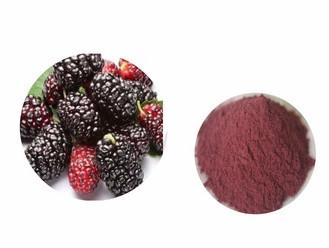 China 100% Natural Mulberry Fruit Powder/Pure Mulberry Powde for sale