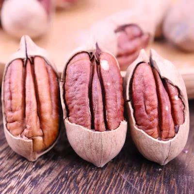 China Bulk Dry Pecannusse Shelling Price Organic Halves Cookie And Nozes Sheller Peeling Pecan Almond for sale