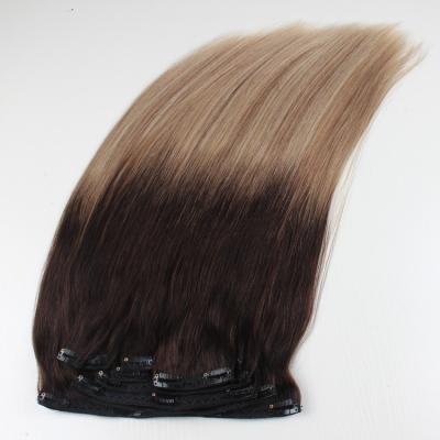 China Hot Selling Silky Straight Wave Clip In Raw Hair Extensions 100% Virgin Hair for sale