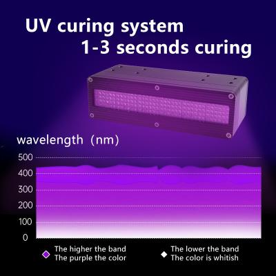 Κίνα 600W UV LED Curing Lamp 365nm 385nm 395nm 405nm High Power UV Ink Glue 3D Printing Curing System Special Curing Lamp προς πώληση