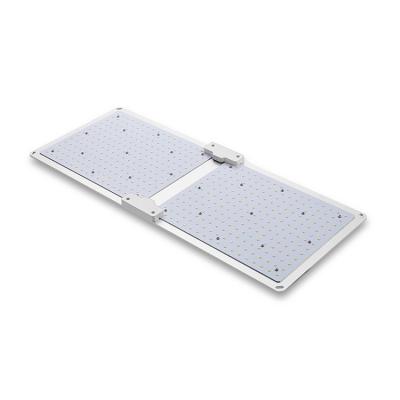 China Volles Spektrum LED SGS Sunlike wachsen Lichter, die 240W LED Lichtpaneel wachsen zu verkaufen