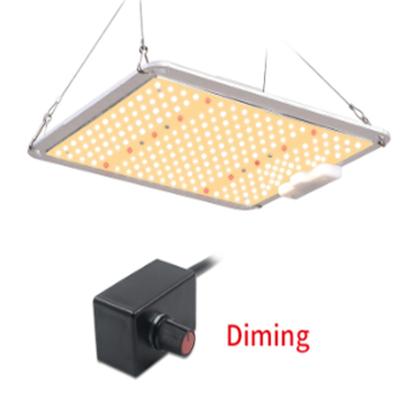 Cina luce progressiva principale Dimmable idroponica delle luci progressive 2561umol/S di 120W LED in vendita