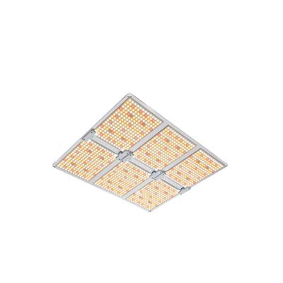 Cina luci progressive complete di spettro LED di 6920umol/S AC277V luce progressiva principale 600 watt in vendita