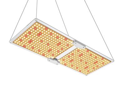 Chine IP65 deux le panneau imperméable LED élèvent le GV léger de RoHS de la CE diplômée à vendre