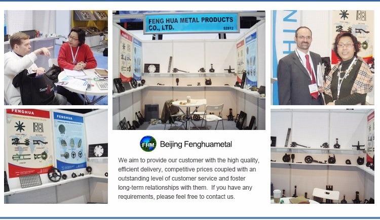 Verified China supplier - Beijing Fenghuametal International Trading Co., Ltd.