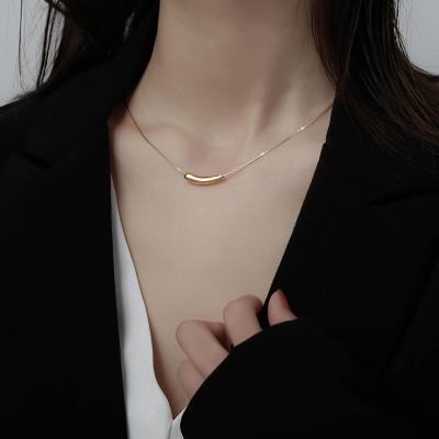 China CLASSIC 925 Simple Snake Bone Chain Women Jewelry Eggplant Eggplant Pendant Necklace Curved Tube Bar Necklace for sale