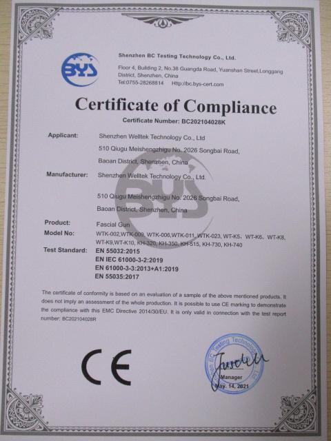 CE - Shenzhen Welltek Technology Co., Ltd.