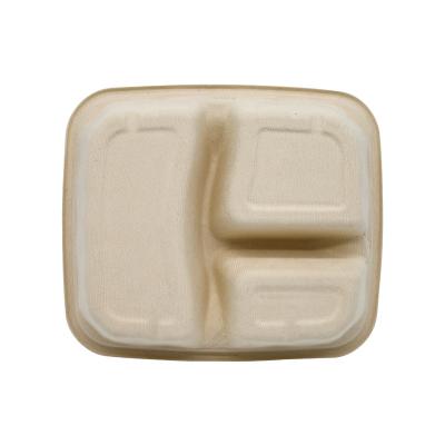 China Recyclable Bagasse Trays Three Compartment Pulp Tray Eco Biodegradable Disposable Bagasse Taker for sale