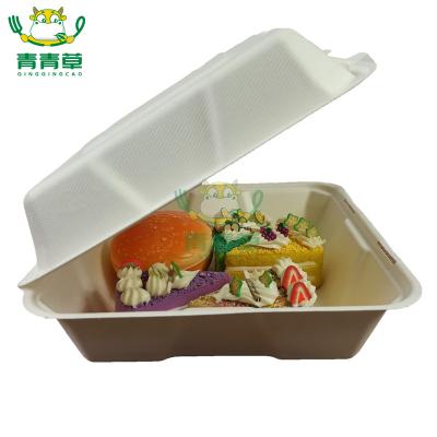 China Environmental Friendly 100% Biodegradable Sugar Cane Pulp Packaging Environmentally Degradable Recycling for sale