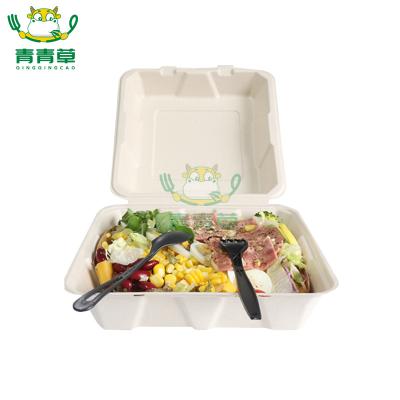 China Environmental Friendly One Time Use Sugarcane Bagasse Container Molded Paper Pulp Box Degradable Tableware Made In China for sale