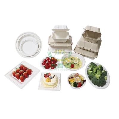 China 100%Compostable Disable Sugarcane Bagasse Disposable Biodegradable Food Box For Meal/Salad/Burger/Fruits for sale