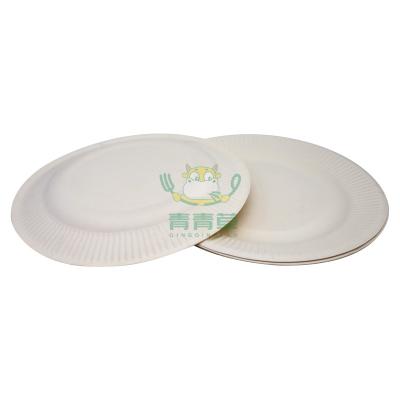 China Environmental Friendly Biodegradable Christmas Disposable Dinnerware Sushi Dinnerware Set / Fruit Dish for sale