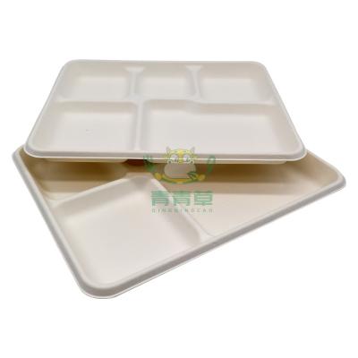 China Eco-Friendly Biodegradable Tray With 5 Compartments Rectangle Food Dish Rectangle Sugar Cane Bagasse for sale