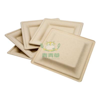 China 100% Biodegradable Cheap White Paper Bowl Dinner Dishes For Restaurant for sale