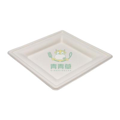 China Disposable Biodegradable Biodegradable Bamboo Dish Sushi Tray for sale