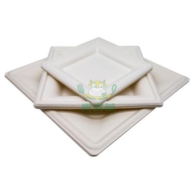 China Biodegradable Disposable Party Tableware Wedding Dishes Restaurant Dishes for sale