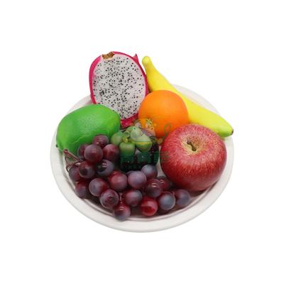 China Ambient Logo Tableware Paper Plate / Customized Biodegradable Fruit Disposable Disposables for sale