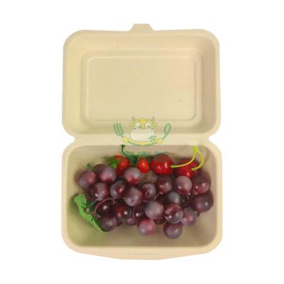 China Environmental Disposable Disposable And Biodegradable Packaging Box For Supermarket for sale