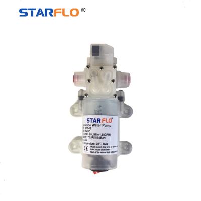 China Factory Price Small Mini Drinking Water Treatment Milk Beer Tea Transfer Self Priming 12V DC 70W Diaphragm Water Food Grade Pump for sale