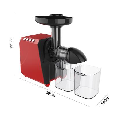 China Unique Low Speed ​​Extrusion Make Fresh Healthy Fruits And Vegetables Cold Pressed Juice Slow Juicer 200W for sale