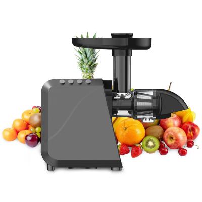 China Unique Low Speed ​​Easy Clean Slow Household Vertical Extrusion Cold Press Juicer Masticating Juicer BPA Free With ETL,GS,CCC for sale