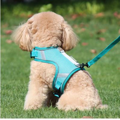 China SHUMON Quick Release Hot Selling Lightweight Breathable Nylon Dog Harness Leash Ready To Carry With Belt for sale