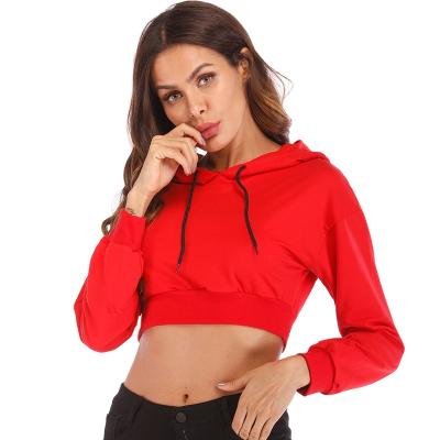 China OEM Logo Lady Pullover Hoodies Women Long Sleeve ACTIVE Crop Top for sale