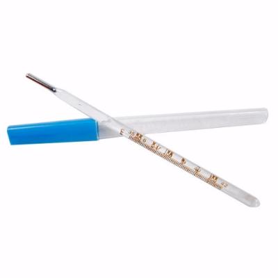 China Medical Healthcare Supply Professional Manufacturer Large Of Rectal Thermometers for sale