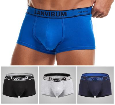 China Antibacterial Men's Cotton Underwear Men's Boxer Shorts Briefs Fits Sports Boxer Brief Underwear Wholesale Custom for sale