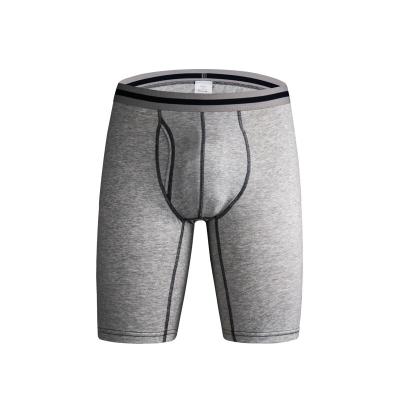 China Solid Color Antibacterial Custom Long Underwear Mens Padded Bottoms Enhancer Boxer Brief for sale