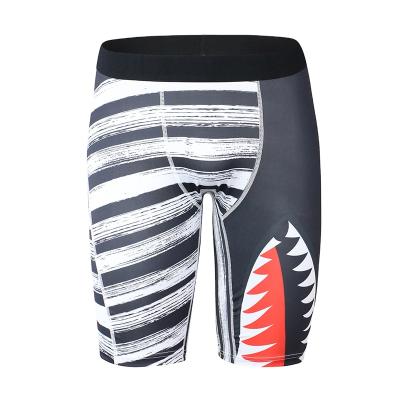 China New Arrival Mens Long Underwear Sport Boxers Printing Elastic Briefs Antibacterial for sale