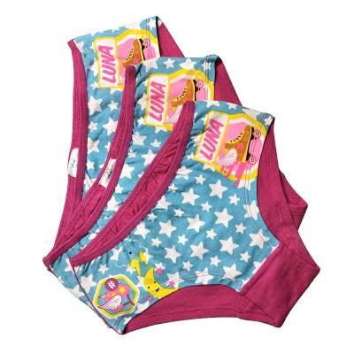 China New QUICK DRY Cute Star Briefs Cartoon Puberty Kids Underwear Children Blue Pink Girls for sale