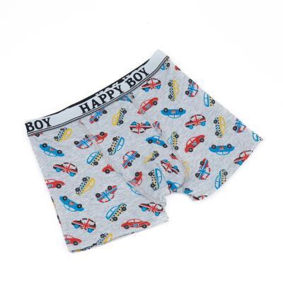 China Factory Store Breathable Printing Boy 95% Cotton Boxer Comfortable Breathable Briefs for sale