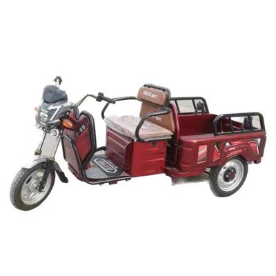 China Popular Adult Passenger Electric Trike Electric Trike Trike For 2 Person for sale